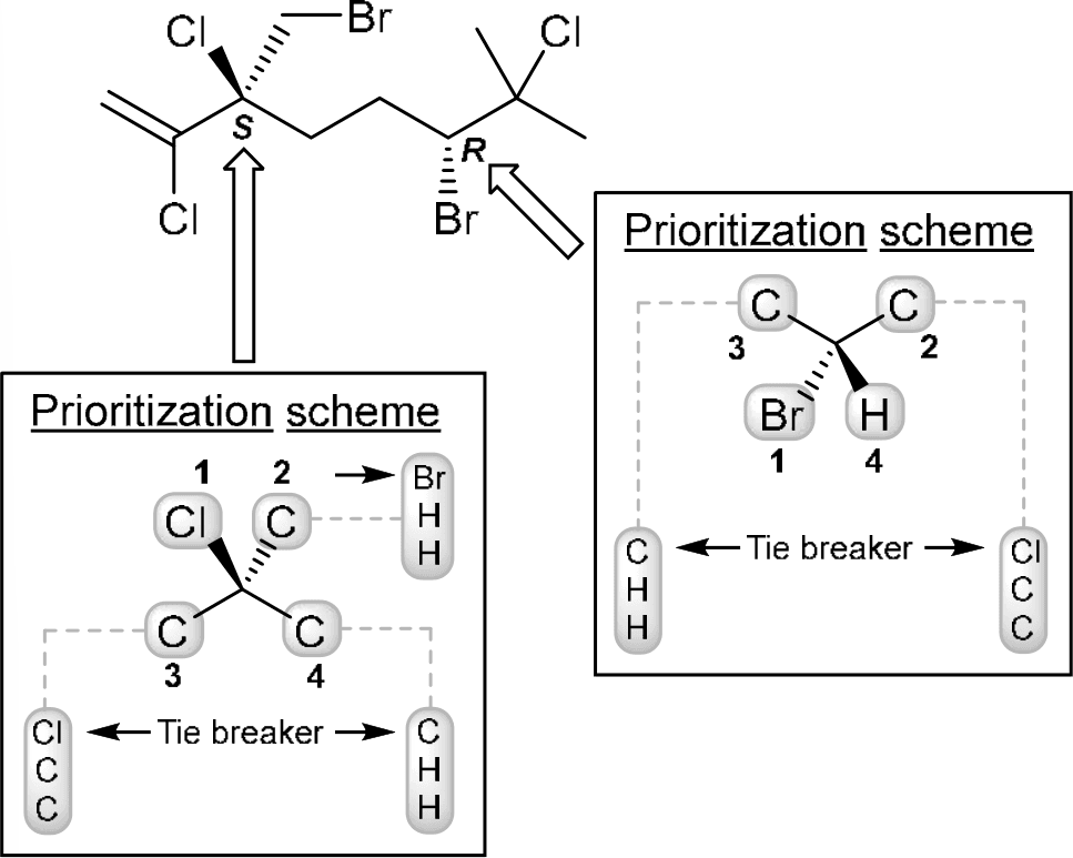 P4F k0509 img1777247129360