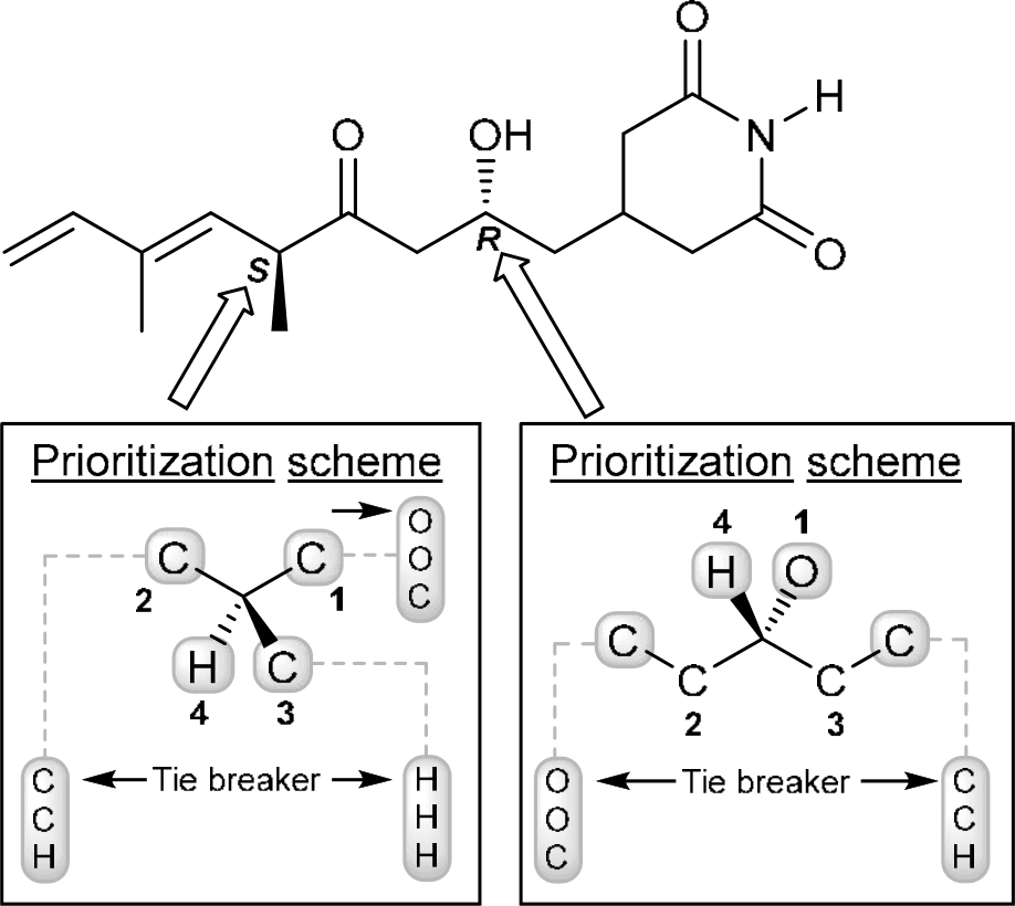 P4F k0509 img1777247156775