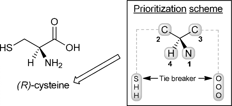 P4F k0510 img1777247338853