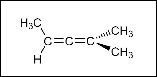 P4F k0528 img1777248263421