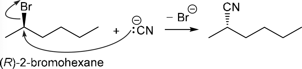 P4G k0703 img1777248977390