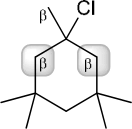 P4G k0712 img1777249080421