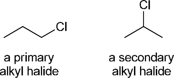 P4G k0729 img1777250145383