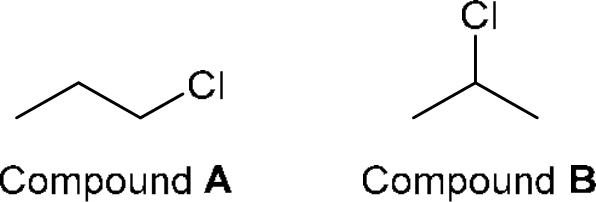 P4G k0729 img1777250162246