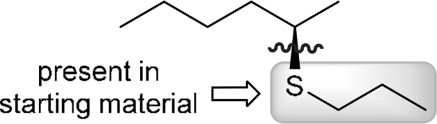 P4G k0736 img1777251755696