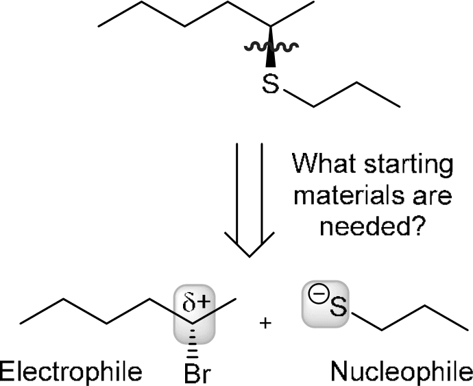 P4G k0736 img1777251785290