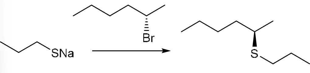 P4G k0736 img1777251801267