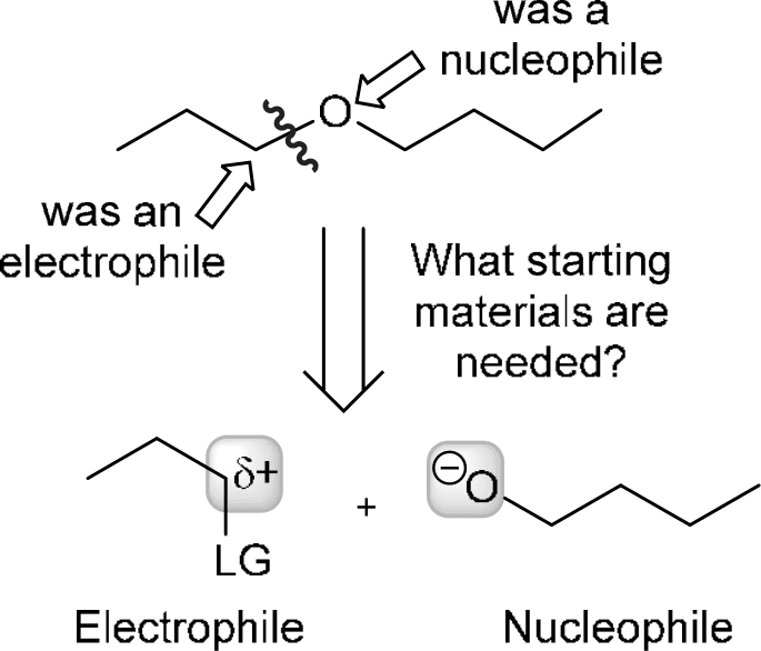 P4G k0736 img1777251836553