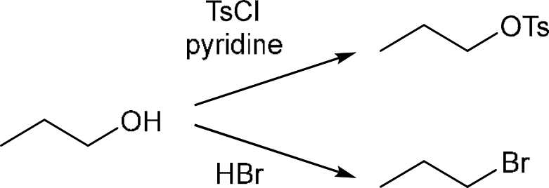 P4G k0736 img1777251860033