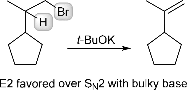 P4G k0738 img1777252554144