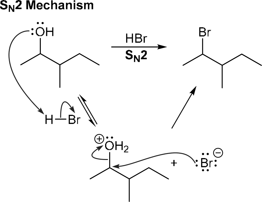 P4G k0739 img1777252741787