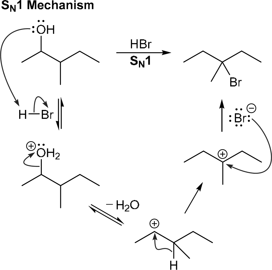 P4G k0739 img1777252754574