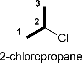 P4G k0747 img1777252925292