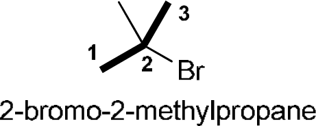 P4G k0747 img1777252944377