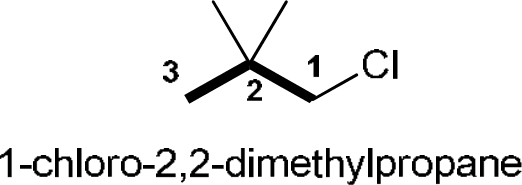 P4G k0747 img1777252990029