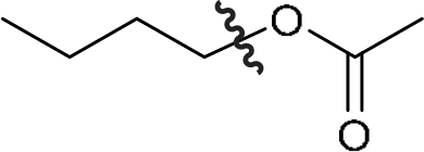 P4G k0755 img1777253215633