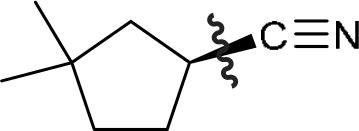 P4G k0755 img1777253268296